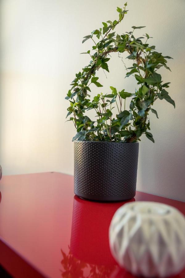 Le Starbeuxes Apartment ภายนอก รูปภาพ